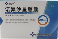 广东邦民  诺氟沙星胶囊